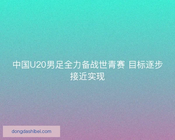 中国U20男足全力备战世青赛 目标逐步接近实现