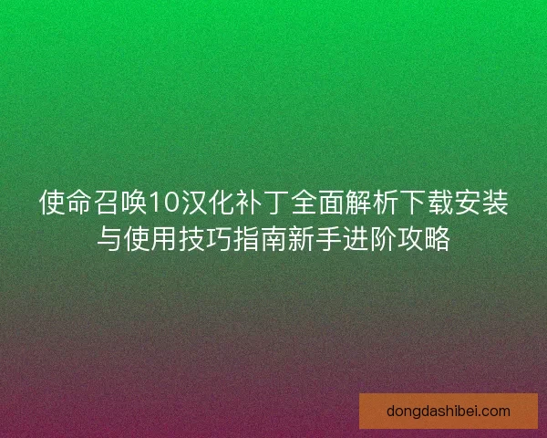 使命召唤10汉化补丁全面解析下载安装与使用技巧指南新手进阶攻略